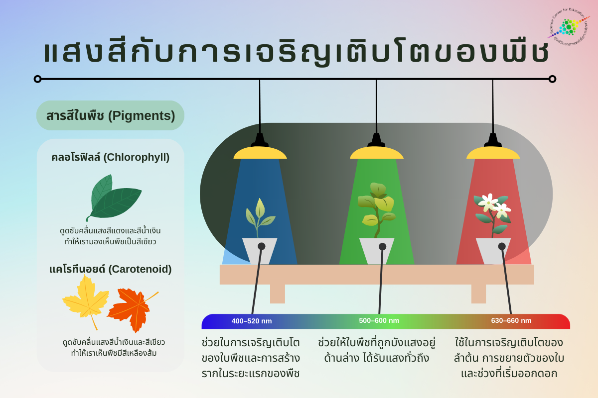 ภาพข้อมูล การทดลองเกี่ยวกับการสังเคราะห์ด้วยแสง ลำดับที่ 2 เกี่ยวกับ ออกซิเจน